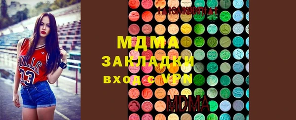 индика Алапаевск