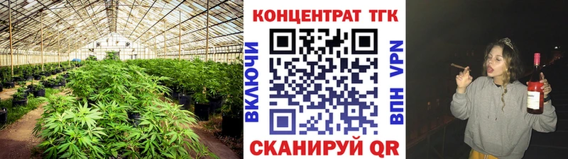 блэк спрут ONION  Нижний Новгород  Дистиллят ТГК THC oil 
