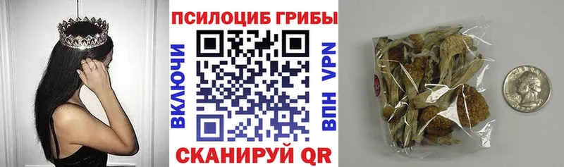 как найти закладки  Нижний Новгород  Псилоцибиновые грибы мухоморы 