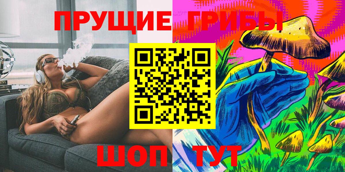 Галлюциногенные грибы Cubensis  купить закладку  Нижний Новгород  Псилоцибиновые грибы мицелий 