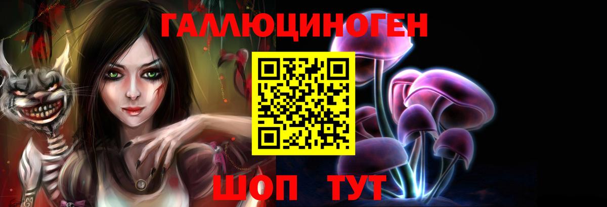 Галлюциногенные грибы GOLDEN TEACHER  Вход с VPN  Нижний Новгород 